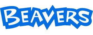 Beaver Scouts
